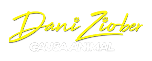 Dani Ziober - Causa Animal